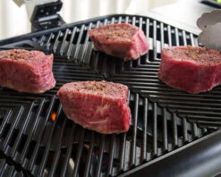 Everdure By Heston Blumenthal FORCE 2 Burner BBQ With Stand -Kamado Joe Bbq Store HBG2B 04