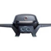 Ziggy Elite Twin Grill LPG BBQ