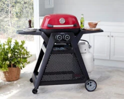 Ziggy Elite Twin Grill LPG BBQ On Cart -Kamado Joe Bbq Store ZGTGREPLUS 02