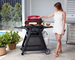 Ziggy Elite Twin Grill LPG BBQ On Cart -Kamado Joe Bbq Store ZGTGREPLUS 07